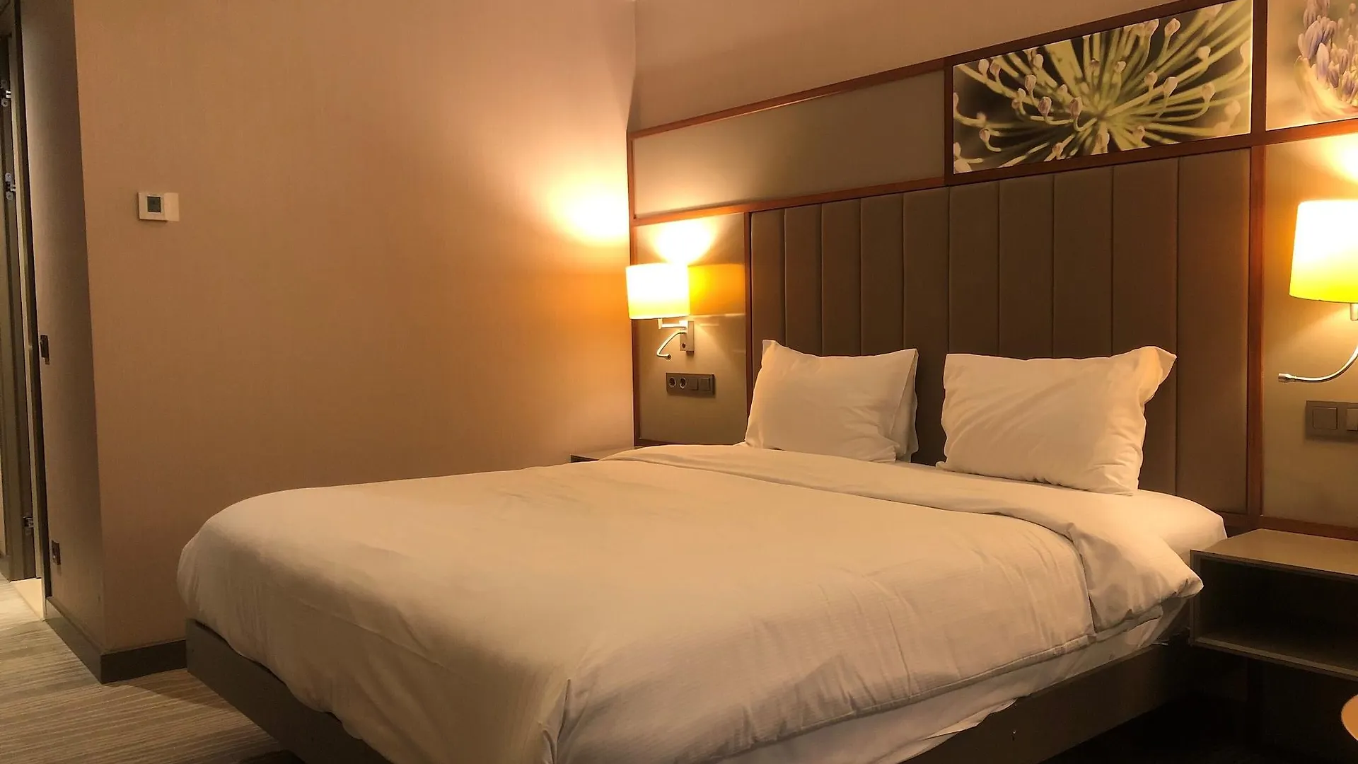 Hilton Garden Inn Istanbul Atatuerk Airport