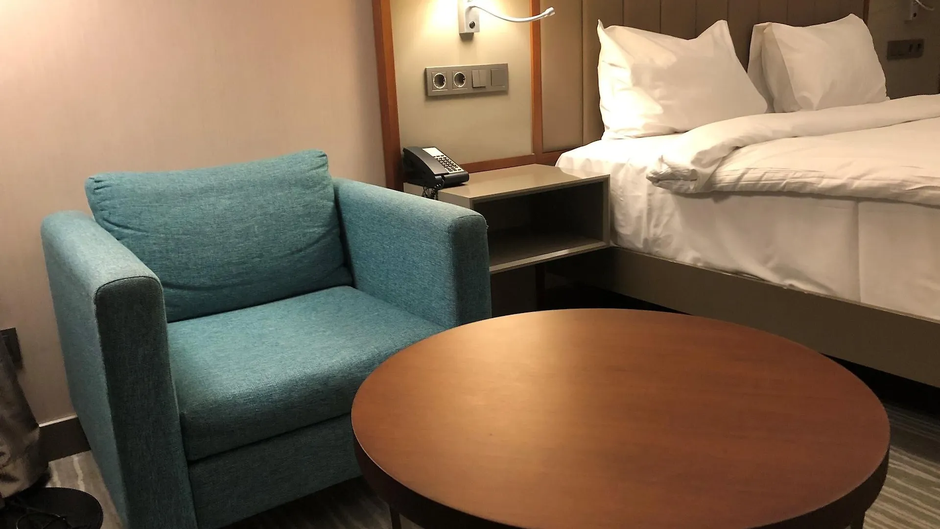 Hotel Hilton Garden Inn Istanbul Atatuerk Airport