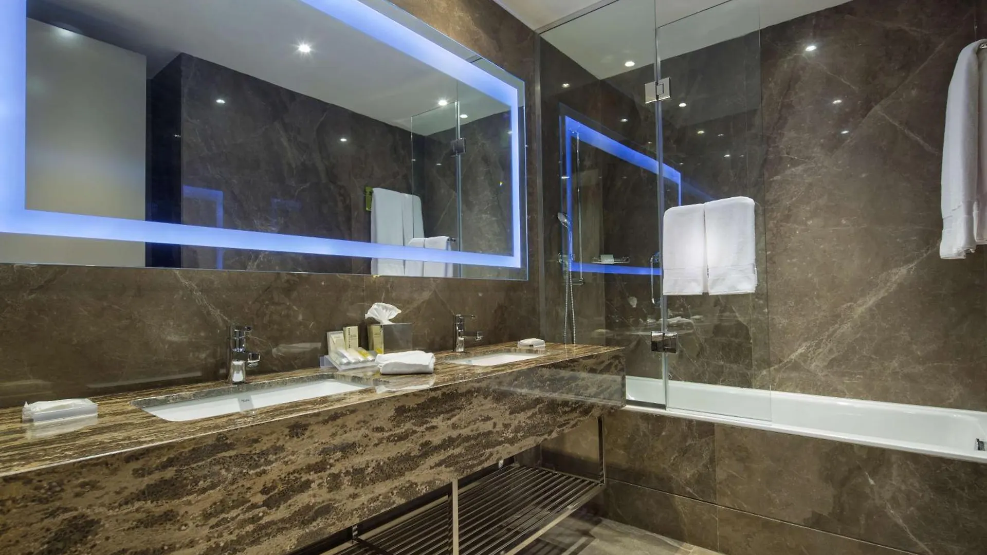 Hilton Garden Inn Istanbul Atatuerk Airport 4*,