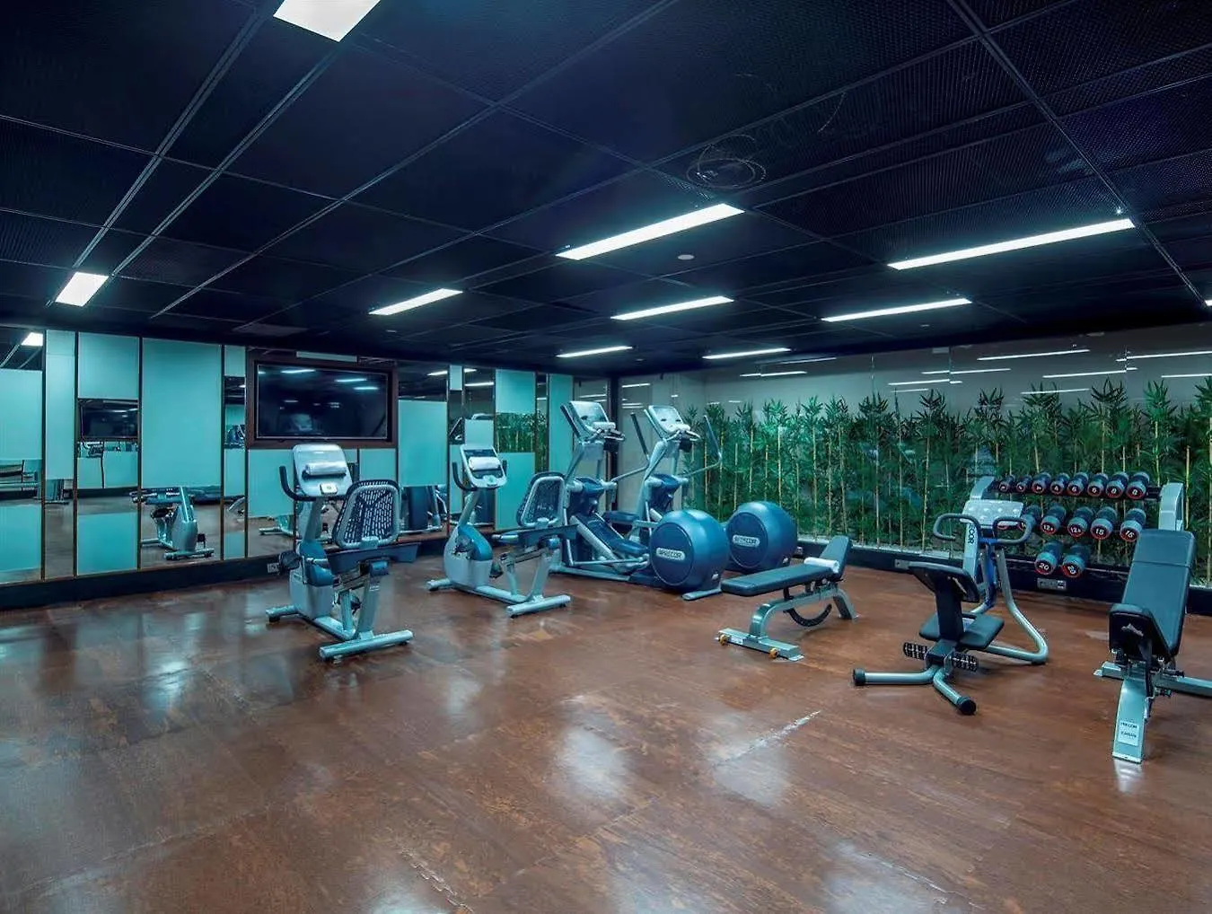 Hilton Garden Inn Istanbul Atatuerk Airport